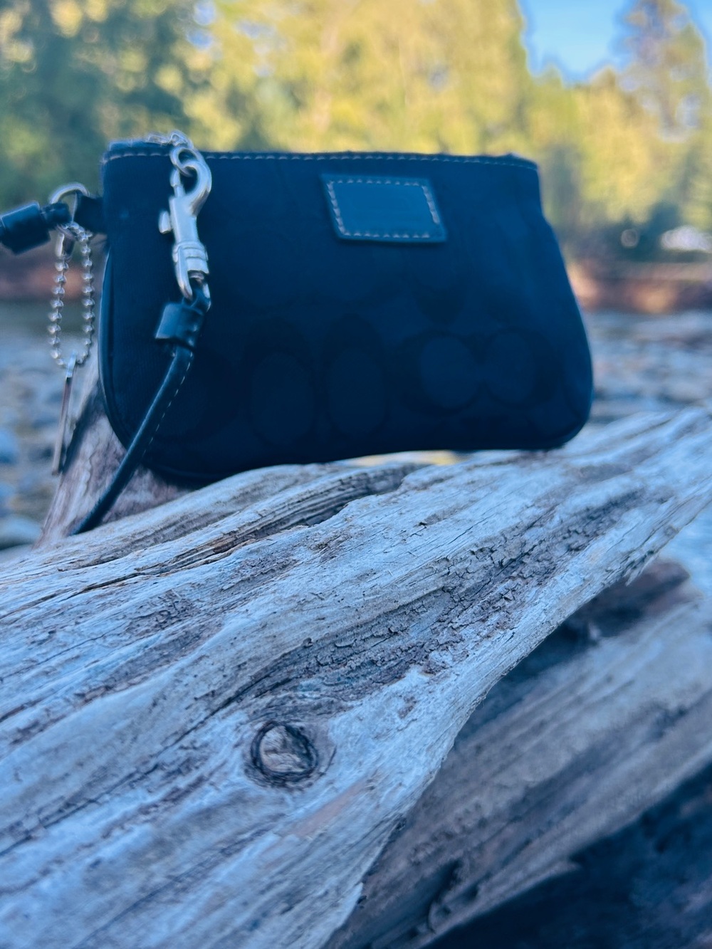 Y2K coach signature c Canada wristlet